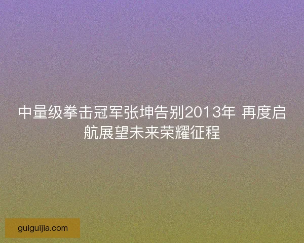 中量级拳击冠军张坤告别2013年 再度启航展望未来荣耀征程